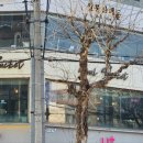 소울버킷 이미지