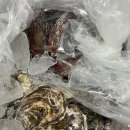 신엄농산물 직거래장터 | 농라 각굴 5Kg+홍가리비1kg 14000원 농산물 수산물 직거래 장터카페 구입후기