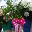 안성축산 이미지