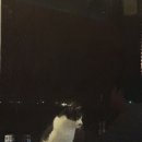 한림리조트 이미지