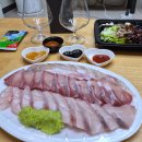 구산역4번출구 앞 (갈현베르빌) | 은평구 횟집 찐맛집 여기 안 가봤으면 회 안 먹은 거임 - 역촌 회사가는날 갈현점