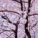 호근서호로 이미지