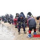 해평초교 이미지