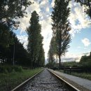 신가네칼국수 이미지