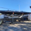 공진 | 중국 대련(大连) 여행 공진증류소(大连空津酒厂直营店) 후기