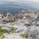 신당낚시터 이미지