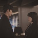 라임고양이 이미지