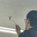 강수선