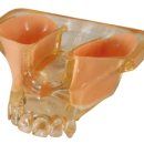 한일 soft 이미지