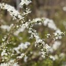 후동공원 이미지