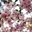 무궁화전자 이미지