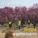 한옥마을 놀이터 | 대구 홍매화 명소 남평문씨본리세거지 아이들과 가기 좋은 한옥마을 후기