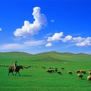 [순우여행노트 28] 몽골 평원 한 여름날의 정경(1) 이미지