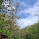 고속터미널앞 이미지