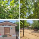 동백실내배드민턴장 | 용인 피크닉가기 좋은 생태공원_구갈레스피아