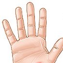 현대통통의원 이미지