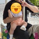 순수수산질병관리원 | 남해 여행 | 남해 사천 아라마루 아쿠아리움 아기랑 방문 후기 입장료 주차 수유실 동물원 회전목마까지