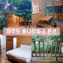 통나무파크 | 제주 애월 가성비 좋은 통나무파크 펜션 연박 할인 내돈내산 숙박 후기