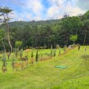 가산수피아 이미지