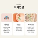 제이이비인후과의원 이미지