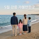 푸른잎기획