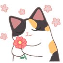 가남 골프존 이미지