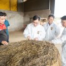 우일목장 이미지