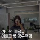 강아지미용실 정독 | 성수 미용실 내돈내산 l 에르아룸 성수역점 윤경 디자이너 커트 후기