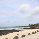 곽지하우스 민박 이미지