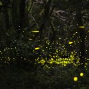 에덴가든민박 이미지