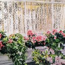 대지목장 이미지