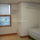 동연아미가 이미지