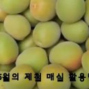 화불식품 네이버블로그