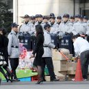 오늘의 포토뉴스 2008.03.15 토요일 이미지