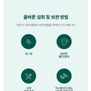 모핸디가구 | 2026 생일선물 택배깡 - 5만 원 이하 카톡 선물하기 추천템