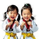 교대부설초교병설유치원 이미지