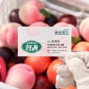 생기청과11 | 클리오 [후로페샤날 청과 에디션] 프로 아이팔레트 에어 10 자두자두제철이야 내돈내산 / 청량한 쿨톤...