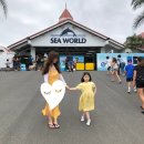 씨월드 피시 이미지