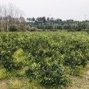 순희농장 이미지