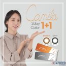 안경 in | 당진렌즈 / 내 옷과 어울리는 컬러렌즈 카밀라 컬러렌즈 / 당진시청렌즈 / 당진렌즈추천 / 컬러렌즈추천...