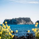 더그랜드섬오름 이미지