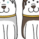 호두마루의 간식공장 이미지