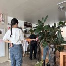 호텔나무 이미지