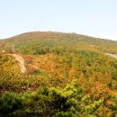 장산 Daum카페