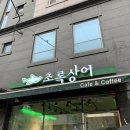 초록상어 이미지