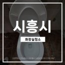 욕실119 | | 시흥시 화장실청소| 물때와 곰팡이 제거한 빌라 욕실 완벽 복원 후기 [긴급청소119]