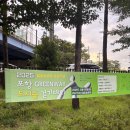 도시의숲 | 2025 포항 Greenway 도시숲 걷기대회 후기