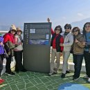 까멜리아 이미지