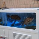 해광주유소 이미지