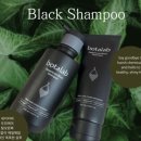 오픈콜라 이미지